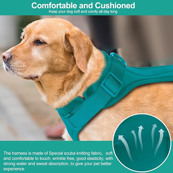 Wisedog No Pull Lightweight Dog Vest Harness with Soft and Comfortable Cushion, Breathable Mesh, for Small Medium Large Dogs Walking (L(Neck: 16.15"-20.86";Chest: 24.02"-38.19"), Emerald Green)