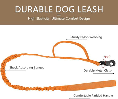 DAGANXI Tactical Dog Collar, Adjustable Military Training Nylon Dog Collar with Control Handle and Heavy Metal Buckle for Medium and Large Dogs, with Patches and Airtags Case (Orange-Set, L)