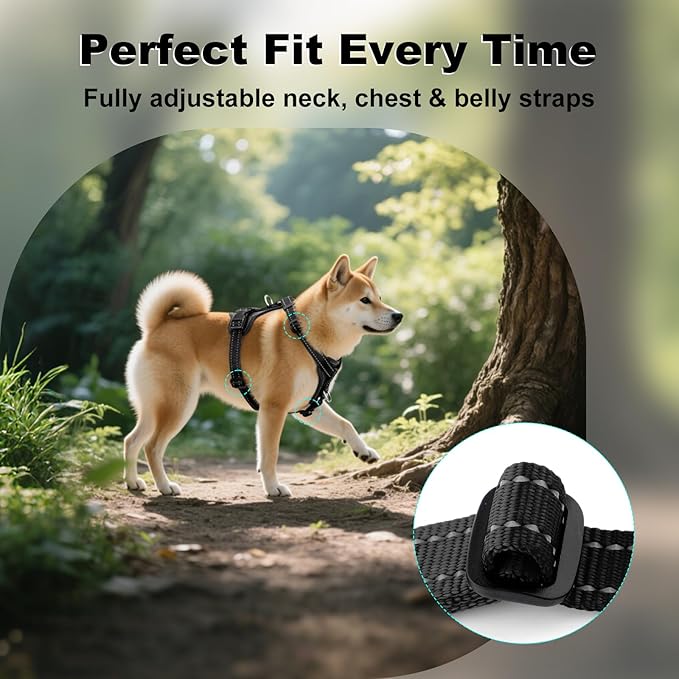 Plutus Pet Adjustable No Pull Dog Harness with Leather Accents, Heavy Duty Reflective Nylon Vest for Training, Hiking, Easy Walk Harness for Small, Medium, Large Dogs (Black, XL)