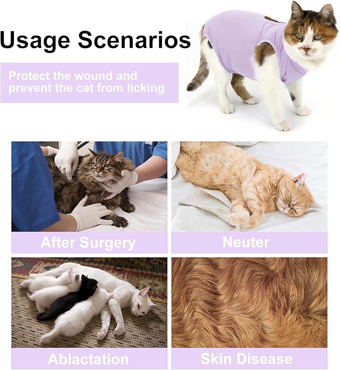 QIYADIN Cat Recovery Suit, Surgical Recovery Clothes for Abdominal Wound or Skin Disease, Cats Onesie After Surgery and Spay, E-Collar Alternative Pajama Suit (Purple, Large)