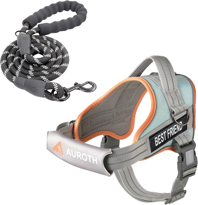 AUROTH Dog Harness and Leash Set, Soft Padded Dog Vest with 5.25FT Dog Leash, No Choke, Easy On Pet Vest, Adjustable Reflective No Pull Dog Harness Small Sized Dog, Easy Walking and Training