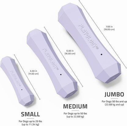 Playology Dog Toys | Durable Squeaky Chew Stick for Dogs | Jumbo Lamb Scented Toy - Easy to Clean and Made from Non Toxic Materials