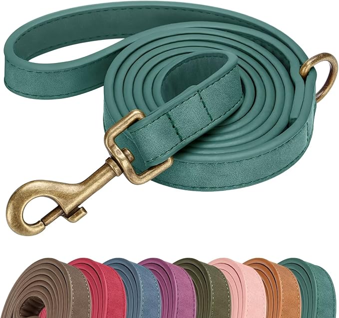 Didog Stylish PU Leather Dog Leash for Large Dogs, Easy to Clean 5ft Dog Leashes for Medium Dogs, Fashionable and Elegant for Walking, Running and Training,Green, M