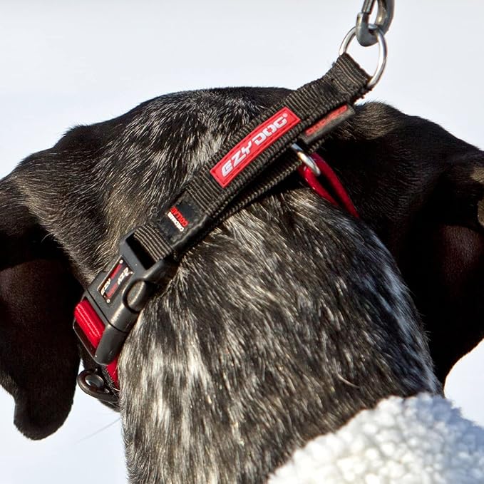 EzyDog Checkmate Martingale Collar for Dogs – Premium Nylon Training Dog Collar for Easy Control with no Choking (Small, Black)