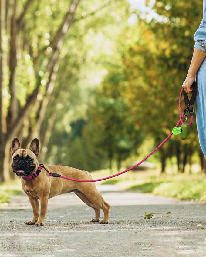 Dynmeow Reflective Dog Collar and Leash Set, 6FT Strong Climbing Rope Leash with Padded Handle, Adjustable Pet Collar with Soft Neoprene Padding for Small Medium Dogs, Hot-Pink, S