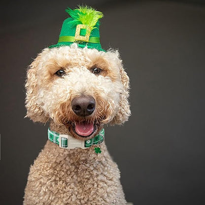 Lionet Paws St. Patrick Dog Collar, Comfortable Adjustable Green Collar with Green Clover Pattern for Medium Male Female Dogs Collars, Neck 13.5-22 inches