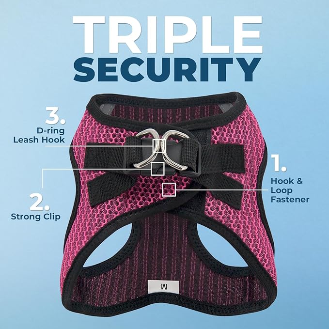 Best Pet Supplies Voyager Step-in Air Harness - All Weather Mesh, Reflective, No Pull Harness for Dogs, Cats - Secure with Hook & Loop Fastener, Buckle, Double D-Rings - Fuchsia 2-Tone, M