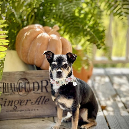 Elegant little tail Halloween Dog Collar, Pet Dog Collar Cotton Soft Pumpkin Collars Holiday with Quick Release Buckle Pet Puppy Collars for Large Dogs