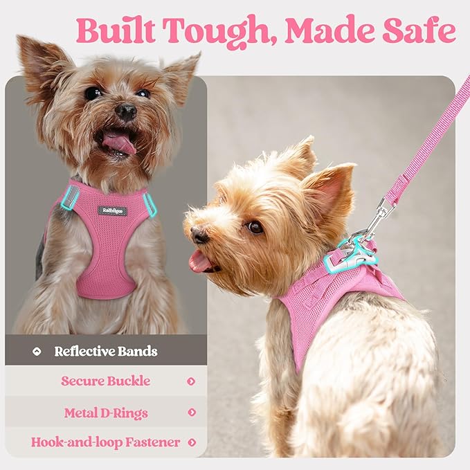 rabbitgoo Dog Harness Small Sized and Leash Set, Step in Soft Light Puppy Vest, Breathable Mesh Pet Harness, Reflective for Safe Easy Walking, Light Pink XXXS