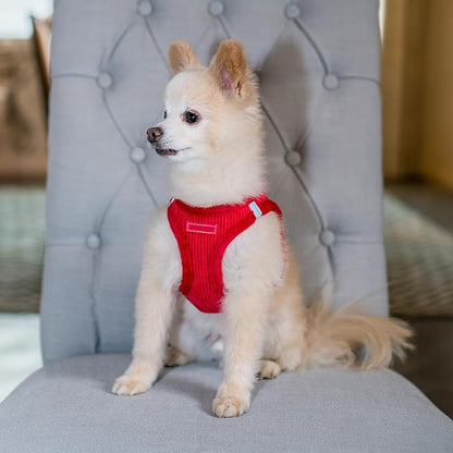 Best Pet Supplies - All Weather Plush, Reflective, No Pull Harness for Small, Medium Dogs, Cats - Secure with Hook & Loop Fastener, Buckle, Double D-Rings - Red Corduroy, XL