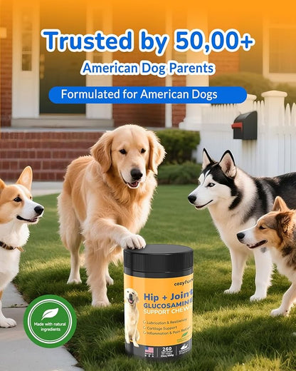 Glucosamine for Dogs 260Ct Chews - 23oz Hip and Joint Supplement Chews for Dogs, Chondroitin Joint Supplement for Dog Joint, USA Lab Formula with Probiotics, Natural Support for Dogs