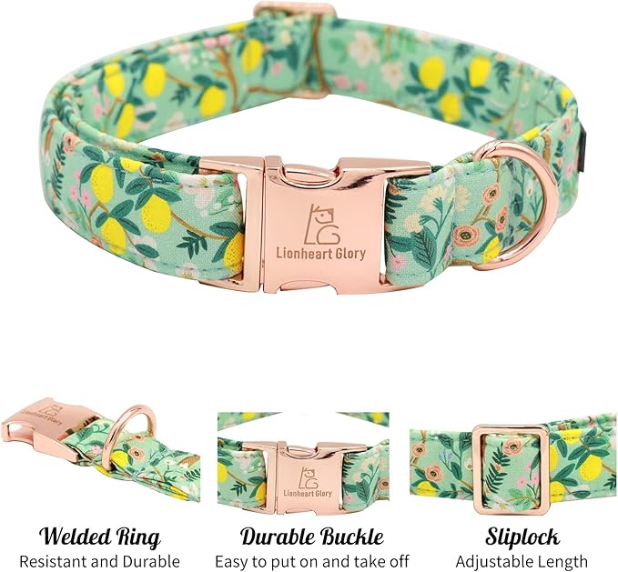 Lionheart glory Premium Floral Dog Collar Cute Dog Collars Spring Adjustable Soft Dog Collar Girl Pet Collars for X-Small Small Medium Large Dogs
