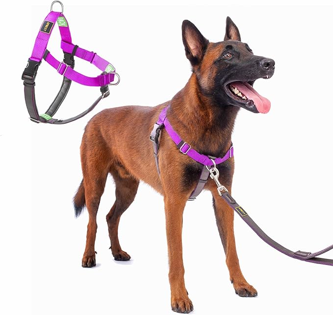 Freedom No Pull Dog Harness, Easy Walk with Front Clip, Two Stainless D-Rings, Sewn-in Instructions Tags for Easy Use, for Medium/Large Dogs Weight 40-60 lbs (Purple, Med/Large)