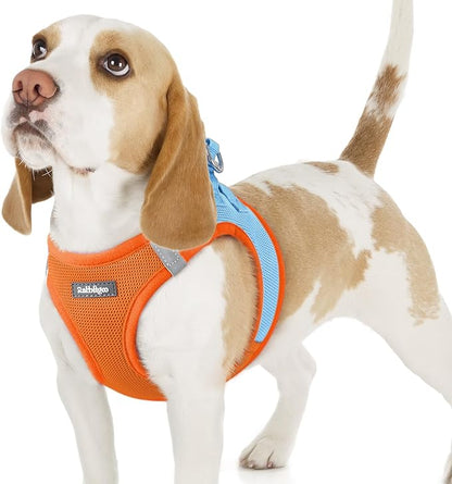 rabbitgoo Small Dog Harness, Step-in Soft Mesh Puppy Vest with Safety Buckle, Breathable Reflective Pet Harness for Small Sized Dogs, Blue & Orange M