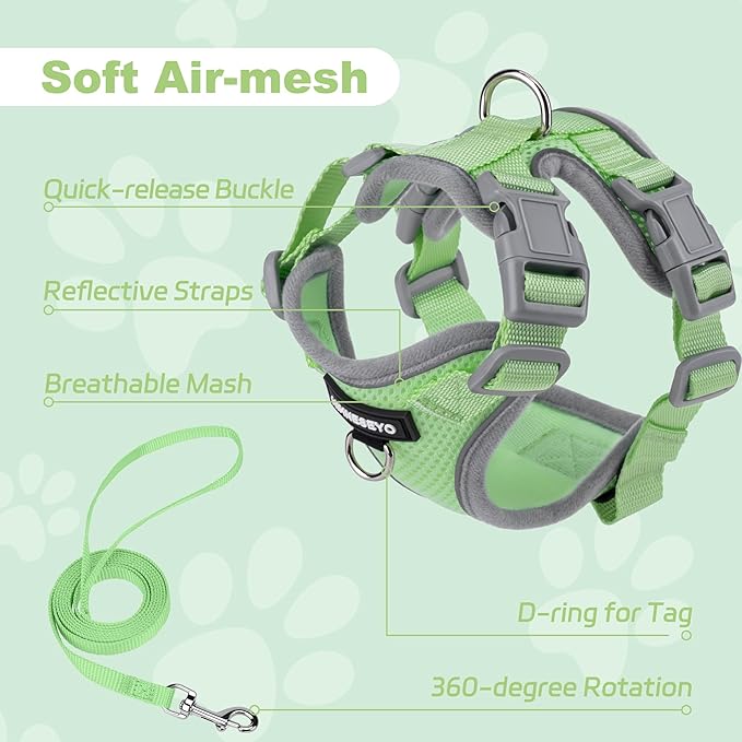 Small Dog Harness and Leash Set, No Pull Adjustable Pet Harness for Small Dogs, Breathable Mesh Rflective Dog Vest Harness (Green, M)