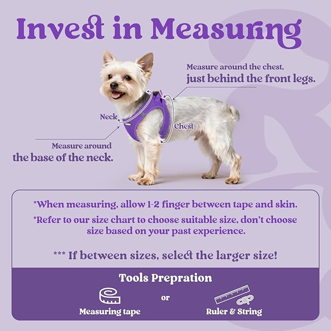 rabbitgoo Small Dog Harness, Step-in Soft Mesh Puppy Vest with Safety Buckle, Breathable Reflective Pet Harness for Small Sized Dogs, Purple S