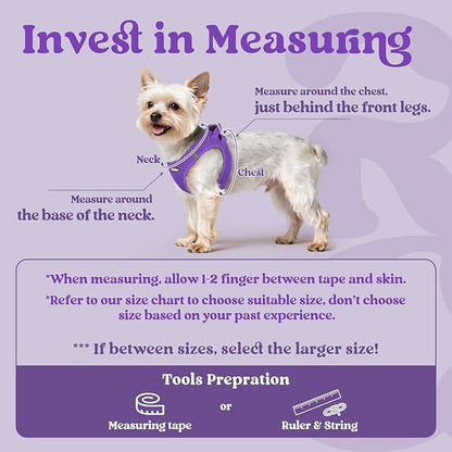 rabbitgoo Small Dog Harness, Step-in Soft Mesh Puppy Vest with Safety Buckle, Breathable Reflective Pet Harness for Extra Small Dogs, Purple XXS