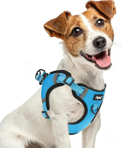 PUPTECK No Pull Dog Harness Small Sized Dog, Adjustable Reflective Escape Proof Easy Control, Comfortable Soft Padded Step in Pet Vest Harness, Blue, S