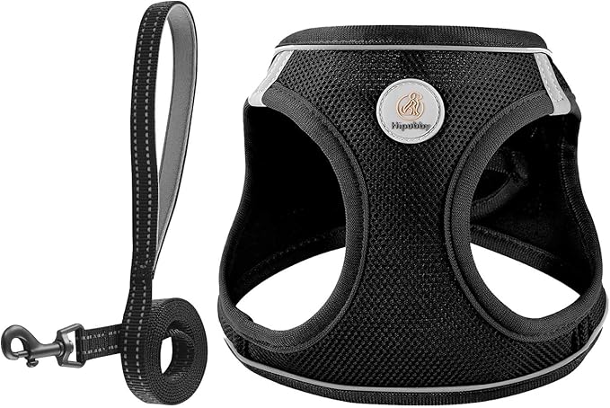 Hipubby Dog Harness and Leash Set, No Pull Soft Mesh Puppy Harness for Small Medium Dogs, Cats - Step in Reflective Breathable Lightweight Vest Harness for Walking, Training - Black, L