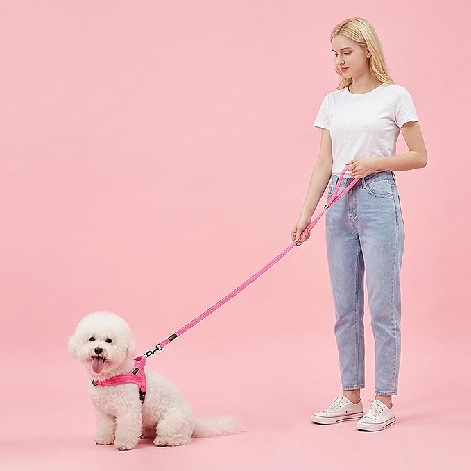 Didog Soft Flannel Padded Dog Vest Harness, No Pull/Quick Fit Reflective Dog Strap Harness, Easy for Training Walking (XS:Chest 15-18", Pink)