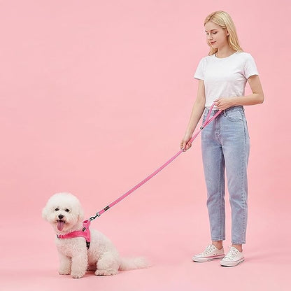 Didog Soft Flannel Padded Dog Vest Harness, No Pull/Quick Fit Reflective Dog Strap Harness, Easy for Training Walking (XS:Chest 15-18", Pink)