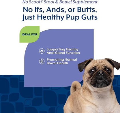 NaturVet - No Scoot for Dogs - 120 Soft Chews - Plus Pumpkin - Supports Healthy Anal Gland & Bowel Function - Enhanced with Beet Pulp & Psyllium Husk