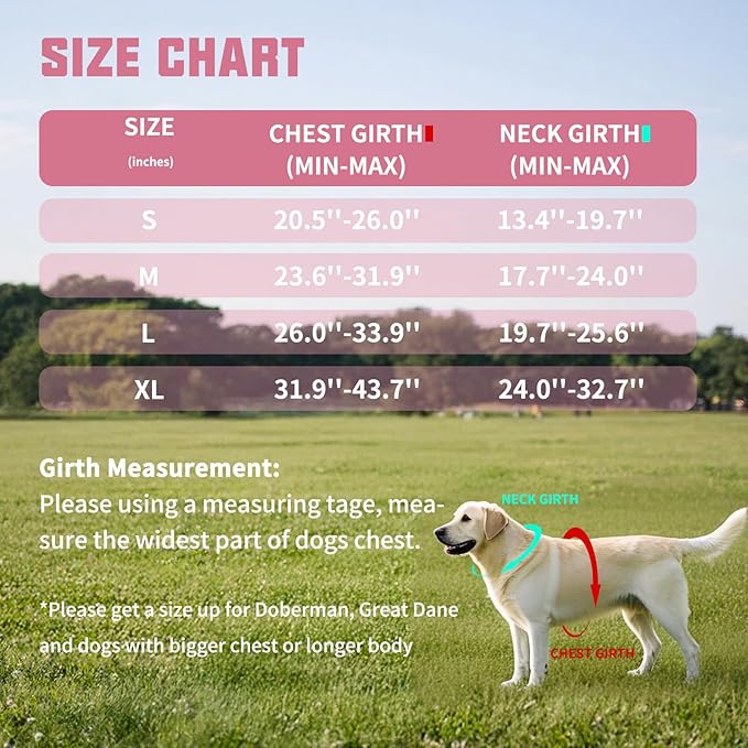 AUROTH Dog Harness and Leash Set, Soft Padded No Pull Dog Harness with 5.25FT Dog Leash, No Choke, Easy On Pet Vest, Adjustable Reflective Dog Vest Small Sized Dog, Easy Walking and Training