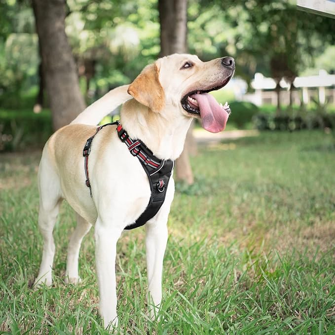 PoyPet No Pull Dog Harness, [Release at Neck] Reflective Adjustable No Choke Pet Vest with Front & Back 2 Leash Attachments(Black+Red,L)