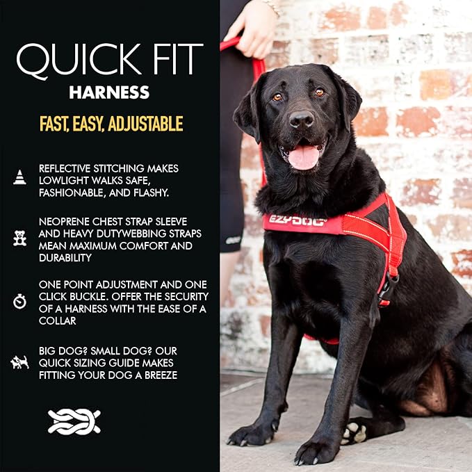 EzyDog Quick Fit Dog Harness – No Pull Harness for Training, Everyday Walking, and Easy Control - Adjustable Fit, Reflective, and Padded (XX-Small, Pink)