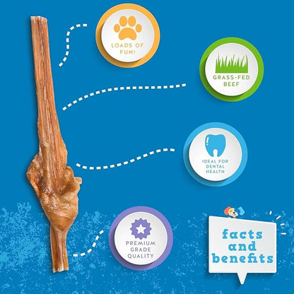 Jack&Pup 12 Inch Junior Bully Stick Dog Chew - Single Ingredient, All Natural Puppy Treat Chews - Great for Teething Puppies (5 Pack)