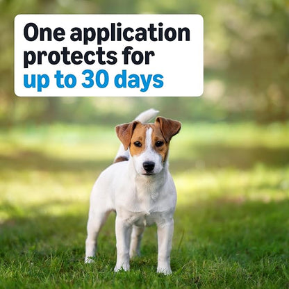 Amazon Basics Preventative Flea, Tick & Mosquito Topical Treatment for Medium Dogs (11-20 pounds), 6 Count, Packaging May Vary