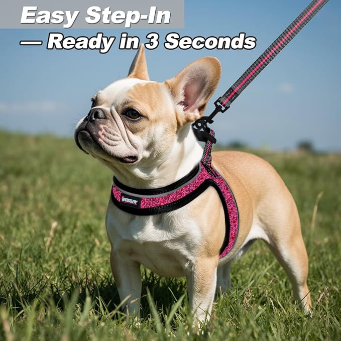 Dog Harness and Leash Set,Step in Small Sized Dog Harness,Soft Mesh,No-Chock,Reflective Adjustable,Secure with Hook & Loop Fastener,Puppy Vest for Small,Medium Dogs(Pink/Black,XXS)