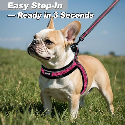 Dog Harness and Leash Set,Step in Small Sized Dog Harness,Soft Mesh,No-Chock,Reflective Adjustable,Secure with Hook & Loop Fastener,Puppy Vest for Small,Medium Dogs(Pink/Black,XXXS)