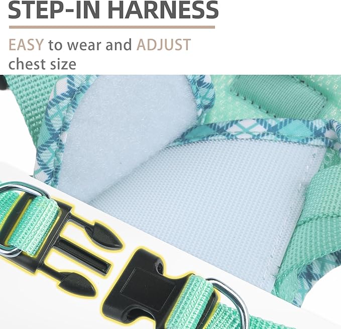 PUPTECK Dog Harness and Leash Set for Small Medium Dogs No Pull Step-in Soft Mesh Puppy Cat Vest Harnesses Reflective at Night, Upgraded New Green XS