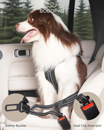 Hands Free Dog Leash with Ergonomic Waist Belt, Zipper Pouch, Reflective Bungee & Double Handle, for Medium & Large Dogs (20–100 lb), Walking, Running & Car Travel