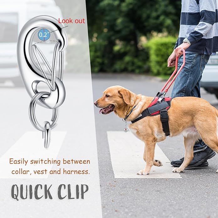 Leash King Service Dog Tag/ESA Animal Tag - Double Sided with Federal Protection & Red Medical Alert Symbol| Easily Attach to Collar, Harness, Vest | Service Dog Identification Tag