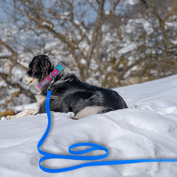 Wolfone 50ft Blue Long Leash - Waterproof Training Dog Leash for Recall, Swimming, Camping, Beach, Hunting, Walking