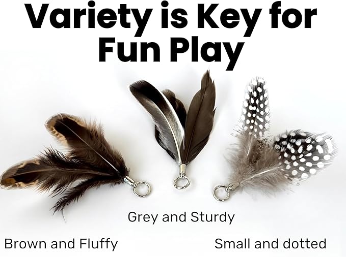 repounce Feather Toys Replacements (3 Pc) - Cat Toys & Kitten Toys for Indoor Kittens, Set of Replacement Feather Attachments Extra Small and Durable, for Cat Wands, Natural and Safe