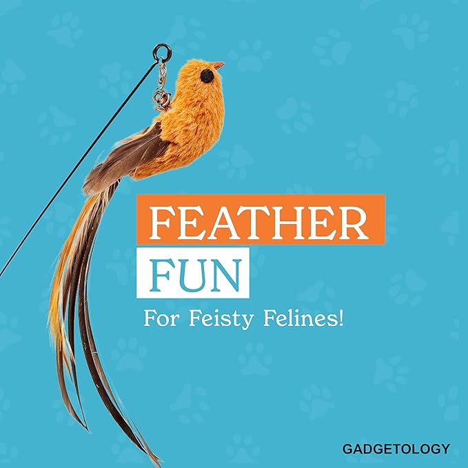 GADGETSOLOGY Interactive Bird Simulation Cat Toy Set for Bored Indoor Adult Cats Feather Toy Wand 5 Pcs Natural Bird Feathers Stable Round Base Wand Cat Toys for Indoor Cats Hunting Toys