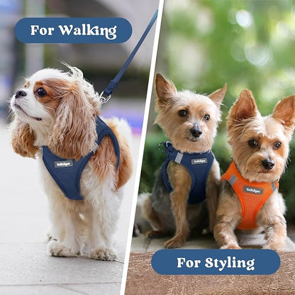 rabbitgoo Small Dog Harness, Step-in Soft Mesh Puppy Vest with Safety Buckle, Breathable Reflective Pet Harness for Small Sized Dogs, Navy Blue S