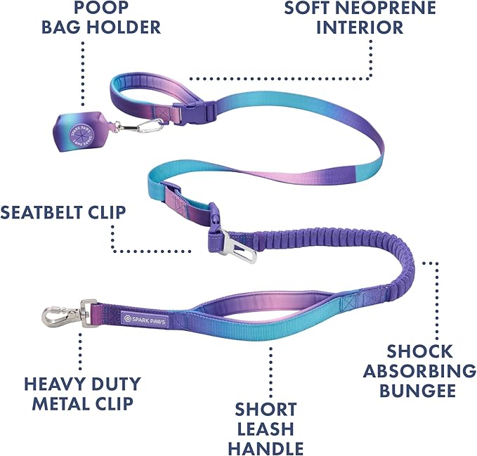 Spark Paws Handsfree Dog Leash – Shock Absorbing Waist Bungee Lead for Running, Car Seatbelt Clip & Poop Bag Set, Heavy Duty Tactical Lead for Medium, Large & X-Large Breeds - 90s Retro