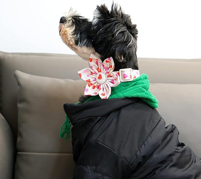 Lionet Paws Valentine‘s Day Dog Collar with Flower, Soft and Comfortable, Adjustable Collar for Large Dogs Girl, Neck 16-24 inches