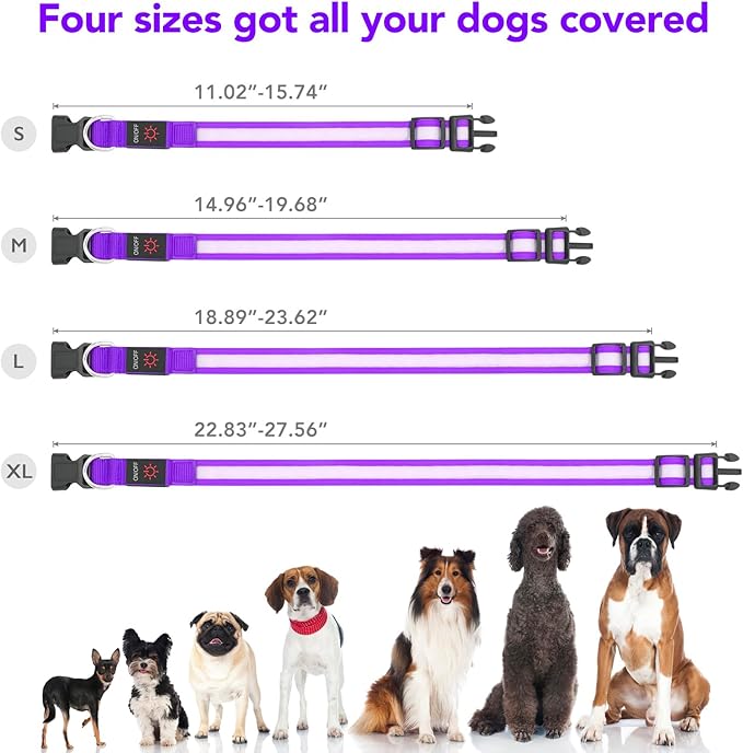 VIZPET LED Dog Collar, Light Up Dog Collar Adjustable USB Rechargeable Super Bright Safety Light Glowing Collars for Dogs (Purple, Large[18.89-23.62 inch/48-60cm])