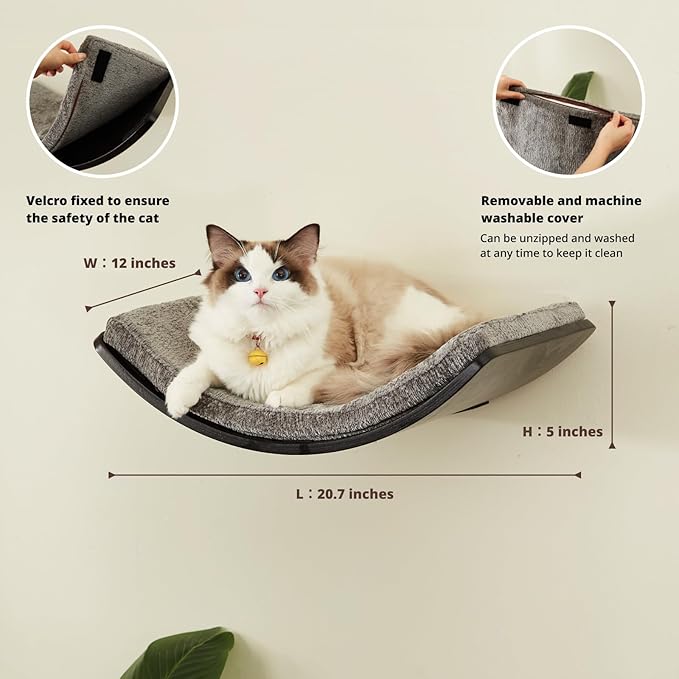 LIORCE Cat Shelf with Comfortable Cushion - Curved Modern Cat Bed (Large Size) - Lotus Leaf Design Cats Wall Perch - Wall Mounted Cats Furniture for Sleeping, Playing, Climbing, and Lounging, Walnut
