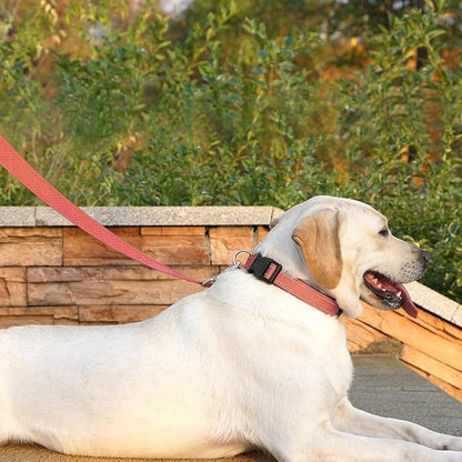 Reflective Dog Leash 6 FT Padded Handle Nylon Dogs Leashes for Large Dogs Coral