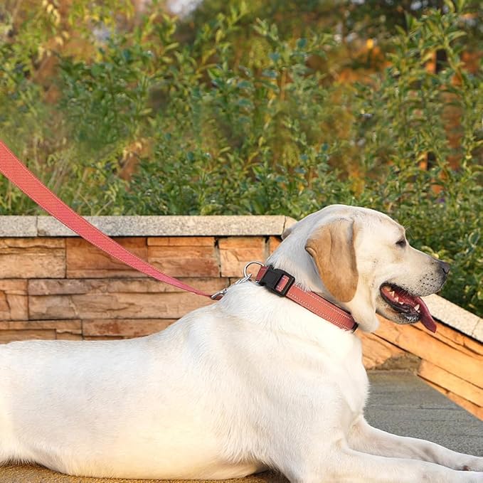 Reflective Dog Leash 6 FT Padded Handle Nylon Dogs Leashes for Medium Dogs Coral