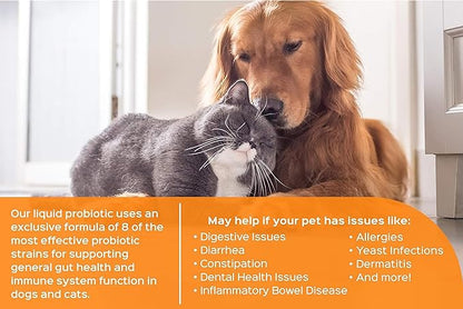 Humarian Probonix Liquid Probiotics for Dogs - 8-Strain Dog Probiotic Drops to Fortify Canine Gut Health, Dental Health, Immunity and More - 30-Day Supply - Liver Flavor