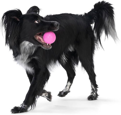 WEST PAW Boundr Ball Dog Fetch Toy – Bouncing Toys for Dogs, Fetch, Catch, Chewing, Play – Floatable, Recyclable Balls – Small Dandelion Yellow/Hot Pink 2-Pack