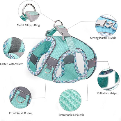 Step-in Mesh Dog Harness and Leash Set - Breathable, Reflective, Escape-Proof Vest - No Choke, Lightweight Air Mesh