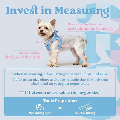 rabbitgoo Small Dog Harness, Step-in Soft Mesh Puppy Vest with Safety Buckle, Breathable Reflective Pet Harness for Small Sized Dogs, Blue & Plaid Trim M